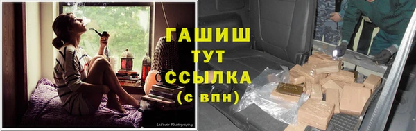 индика Белокуриха