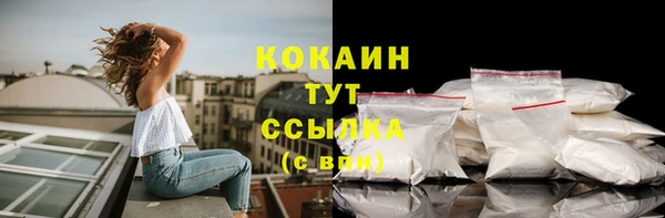 стаф Белоозёрский