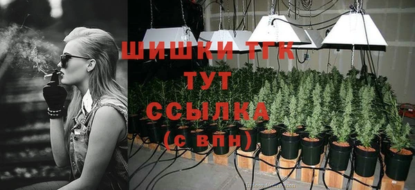 индика Белокуриха