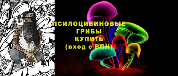 стаф Белоозёрский