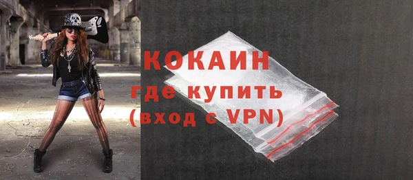 индика Белокуриха