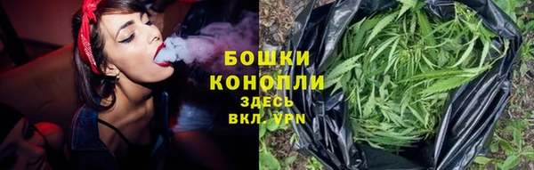 стаф Белоозёрский