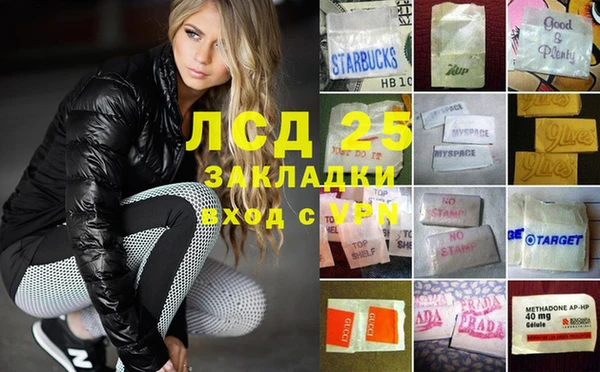 индика Белокуриха
