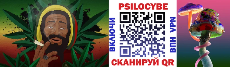 Галлюциногенные грибы GOLDEN TEACHER  наркошоп  Сковородино 